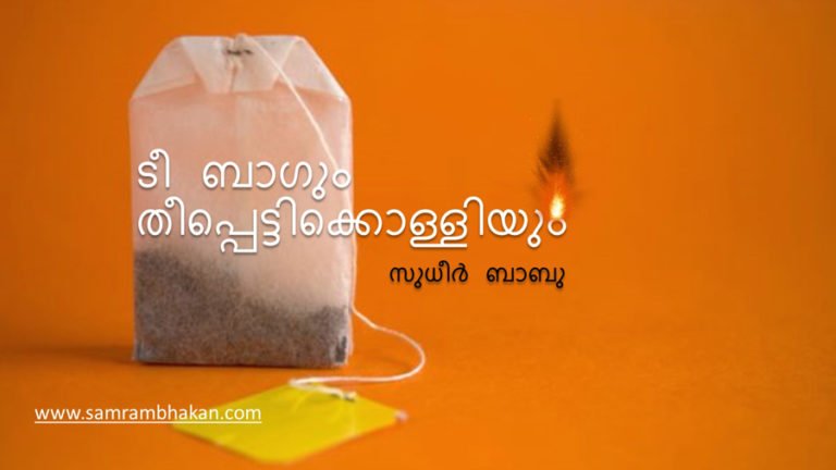 ടീ ബാഗും തീപ്പെട്ടിക്കൊള്ളിയും – സുധീര്‍ ബാബു